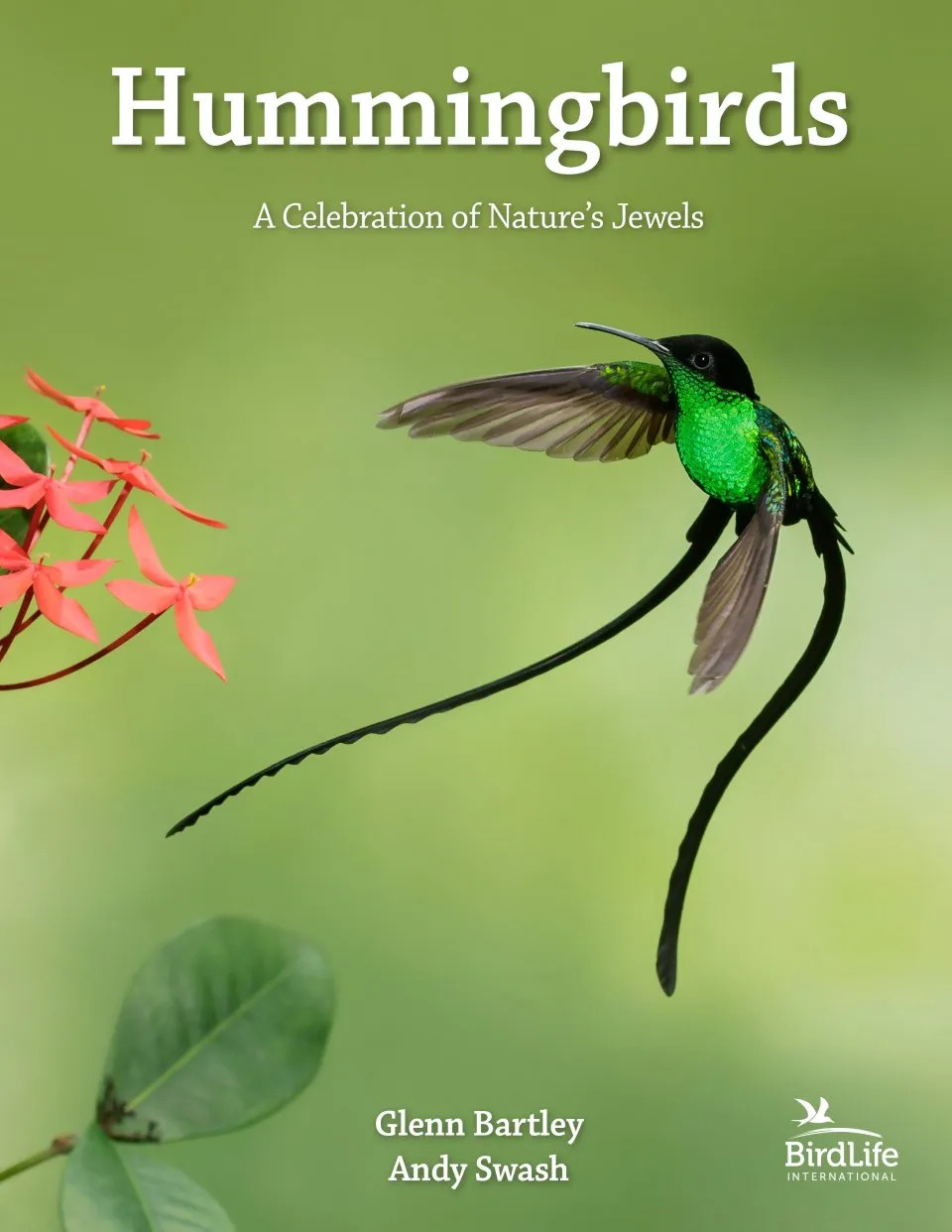 Hummingbirds: A Celebration of Nature's Jewels - Nokomis