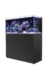 Red Seaのリーフシステム - Red Sea