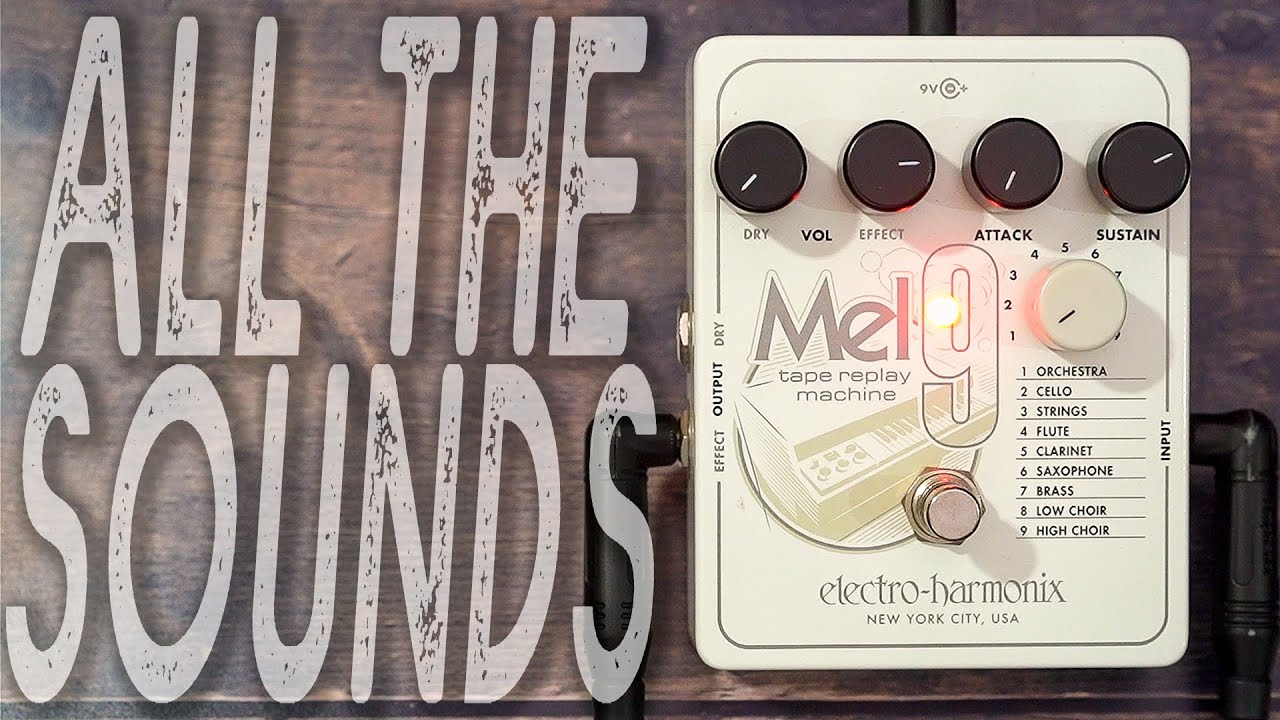 ELECTRO HARMONIX Mel9 // Tape Replay Machine | ALL THE SOUNDS [NO