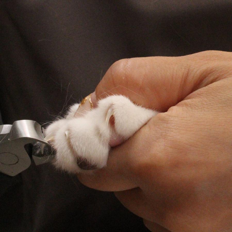 猫 爪切り 国産 SUWADA nekozuki 限定モデル ねこずきつめきり