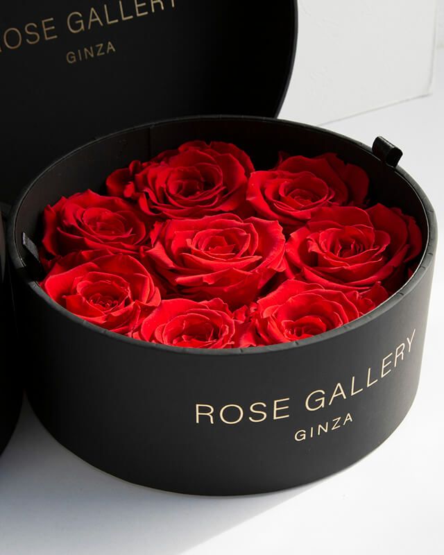 アンダーザローズ(M-L8) | ローズギャラリー銀座 オンラインショップ