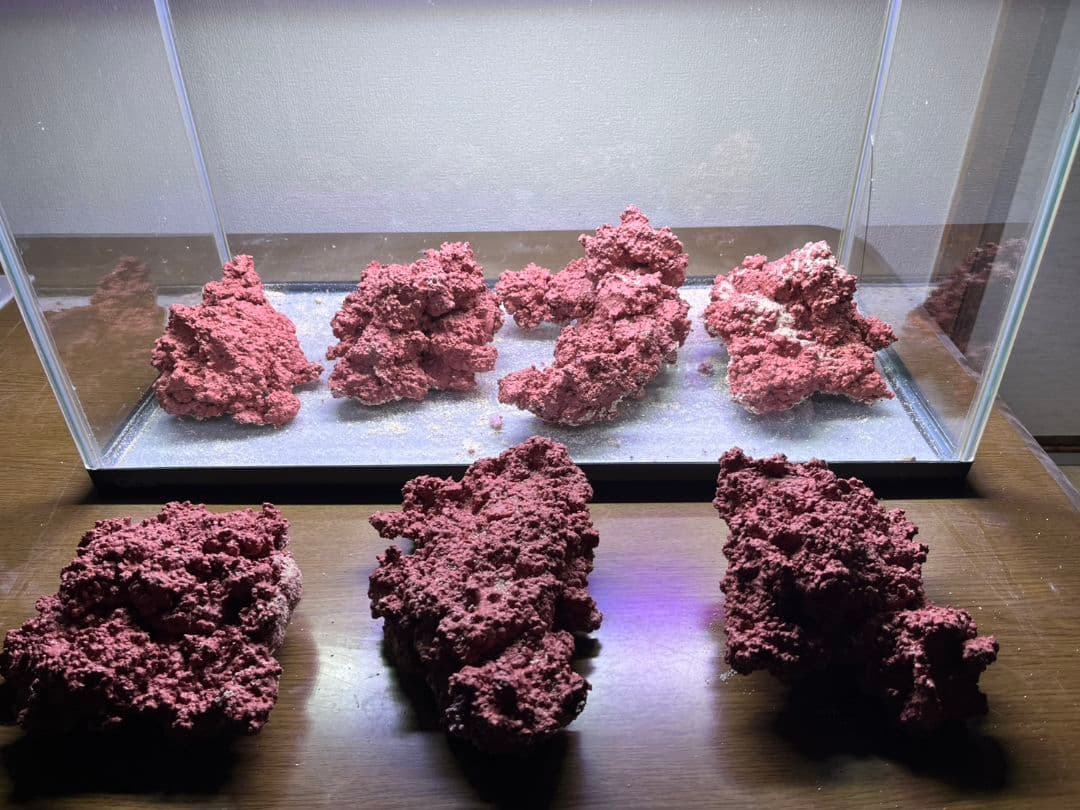 アク抜き中特価 人工ライブロック 60cm水槽ぴったりセット - メルカリ